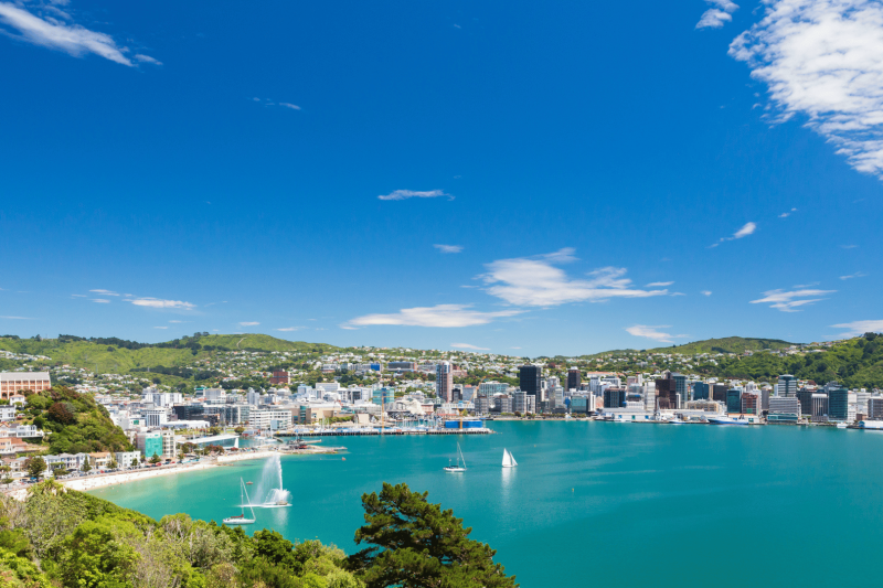 Wellington-day-in-the-city